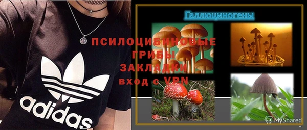 ECSTASY Беломорск
