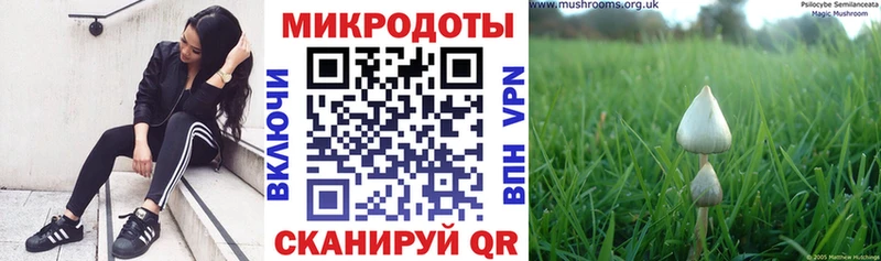 купить  сайты  Южа  Галлюциногенные грибы ЛСД 